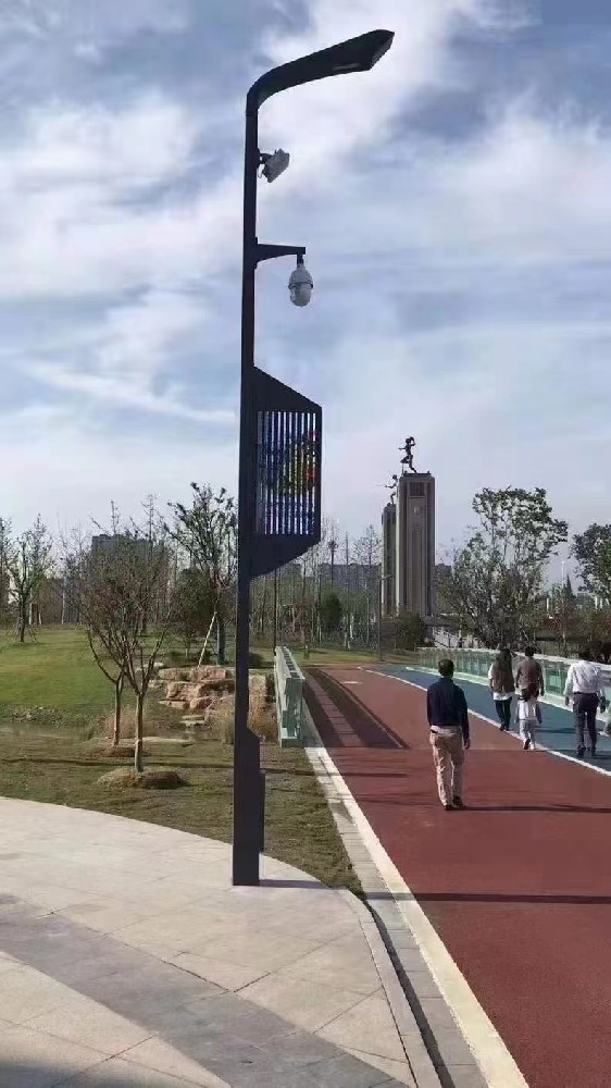 海南某公园10米智慧路灯